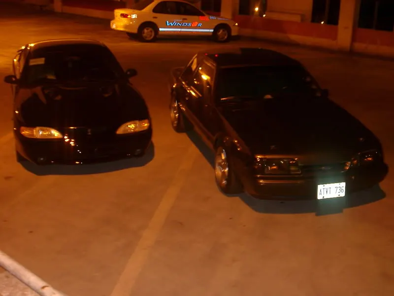 IMGP1488.webp