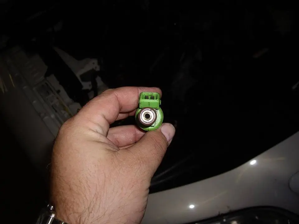 IMGP1495.webp