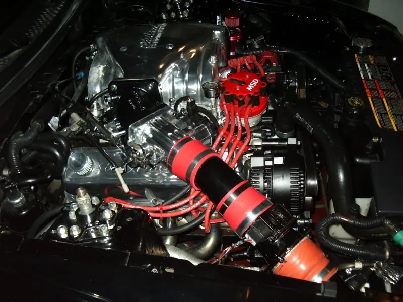 IMGP1505.webp
