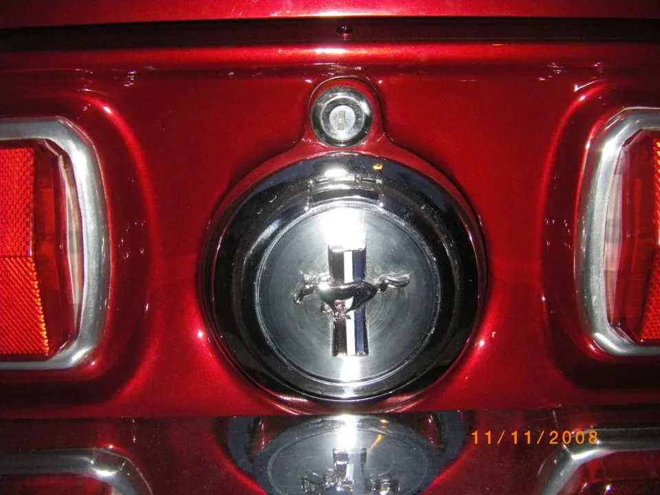 IMGP1516.webp