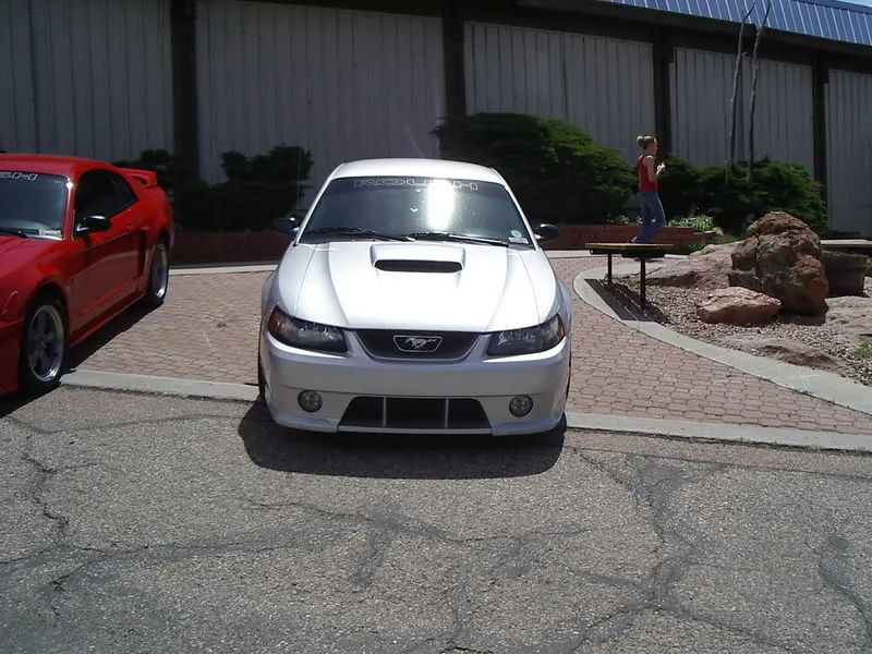 IMGP1523.webp