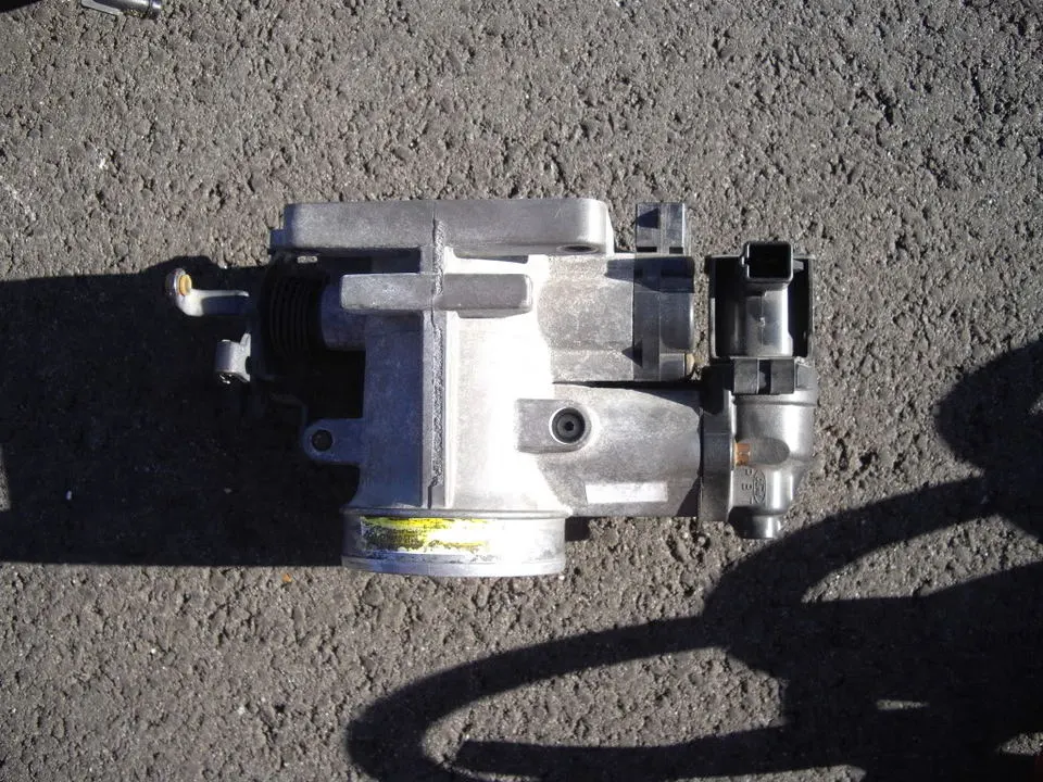 IMGP1568.webp