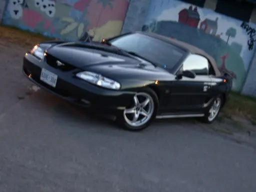 IMGP1592.webp