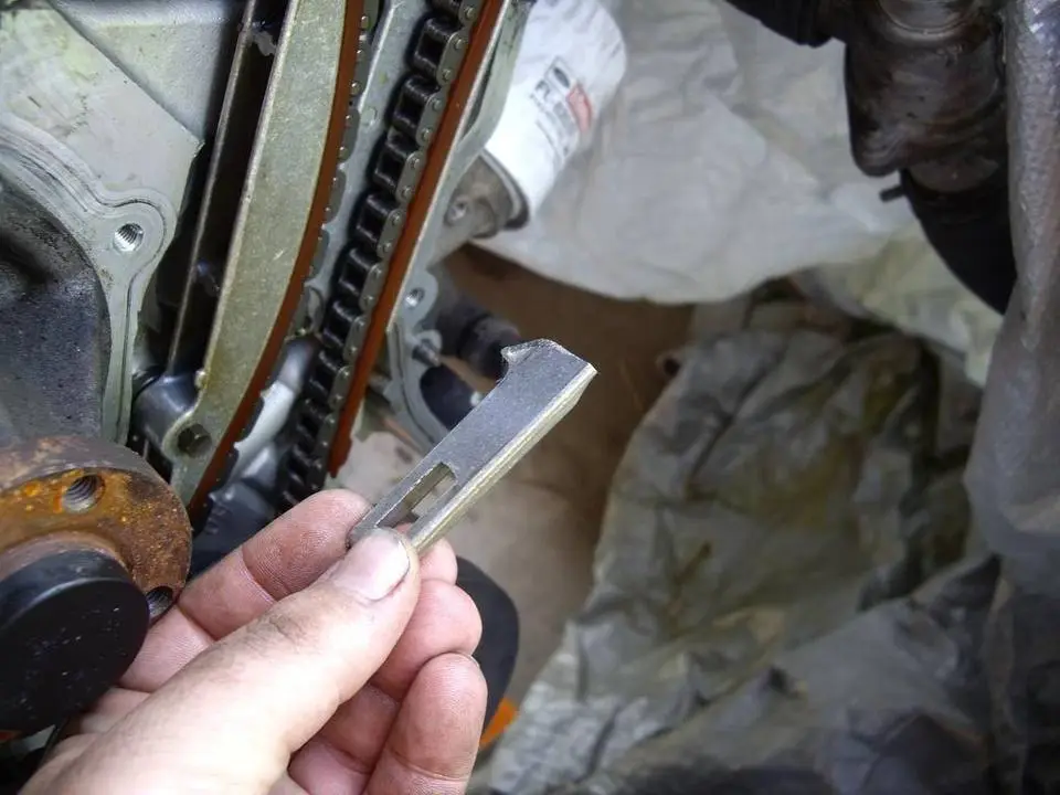 IMGP1675.webp