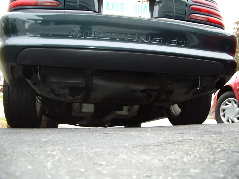 IMGP1687.webp