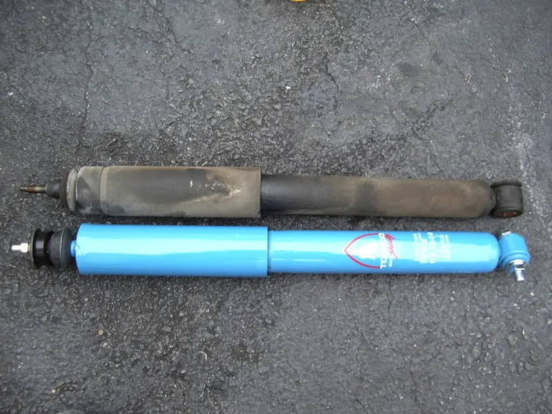 IMGP1688.webp