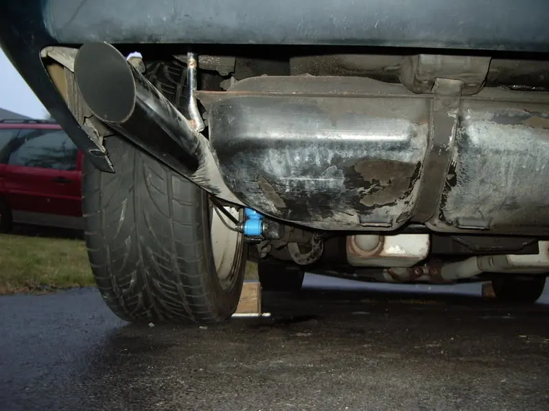 IMGP1689.webp