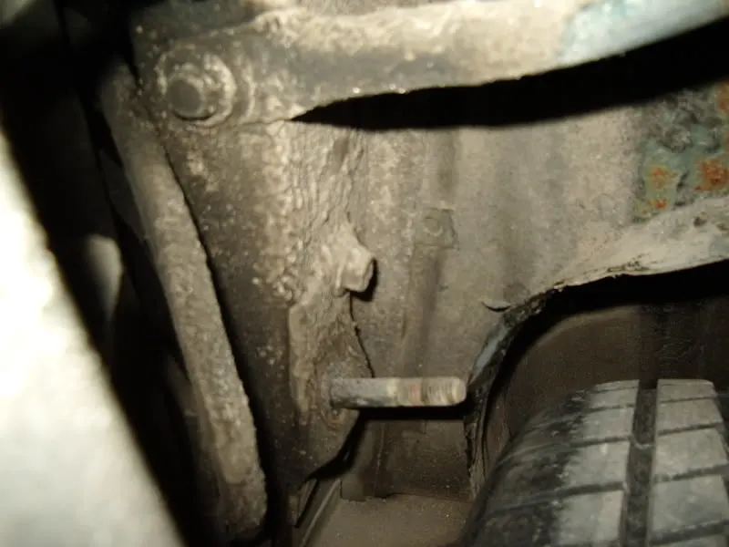 IMGP1913.webp