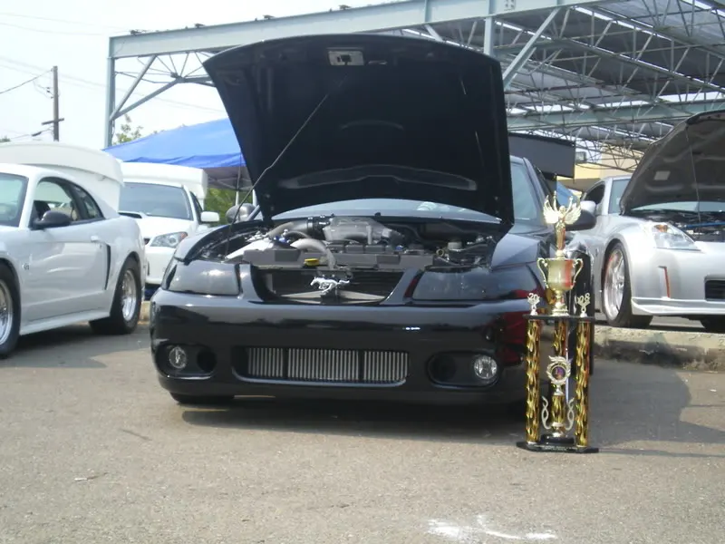 IMGP1931.webp