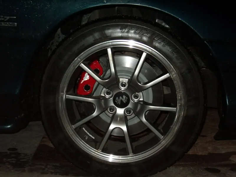 IMGP1951.webp