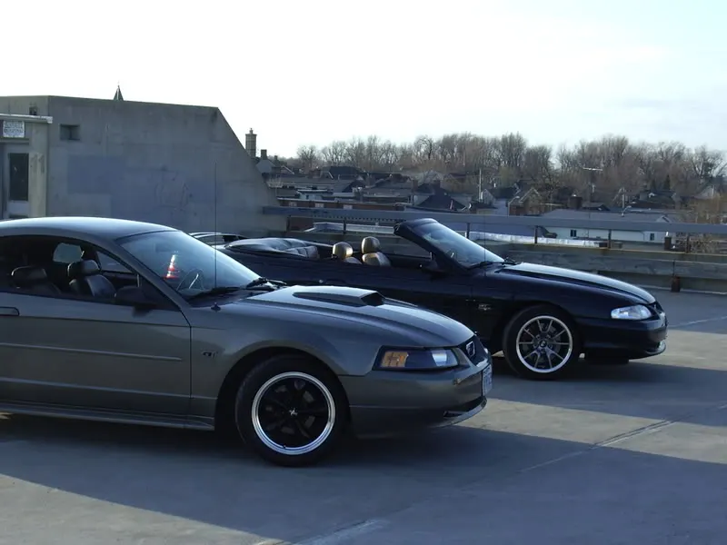 IMGP2004.webp