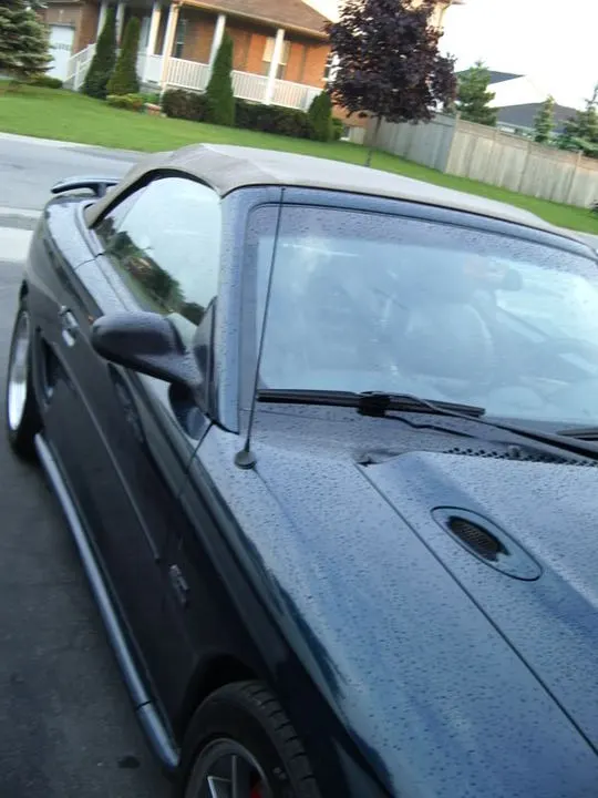 IMGP2047.webp