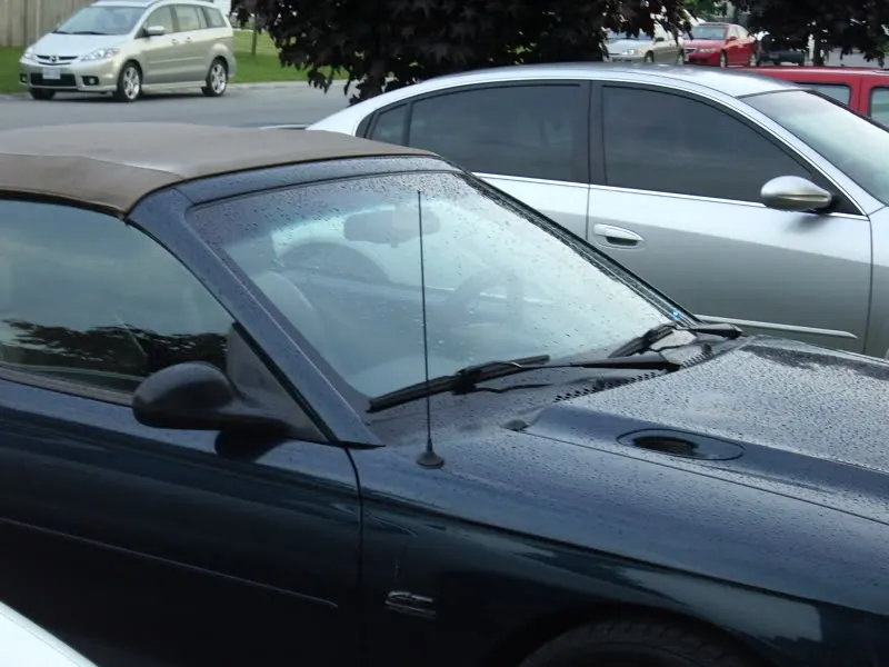 IMGP2048.webp