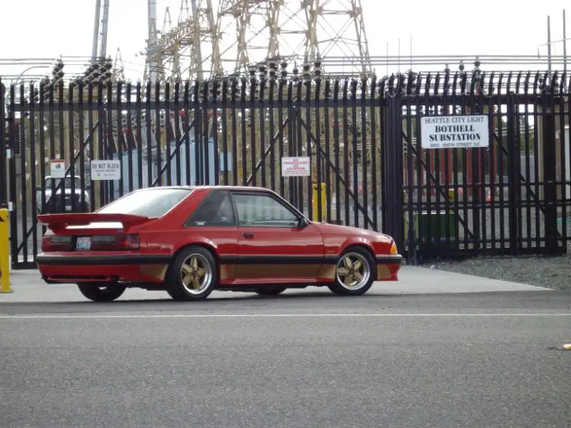 IMGP2099.webp