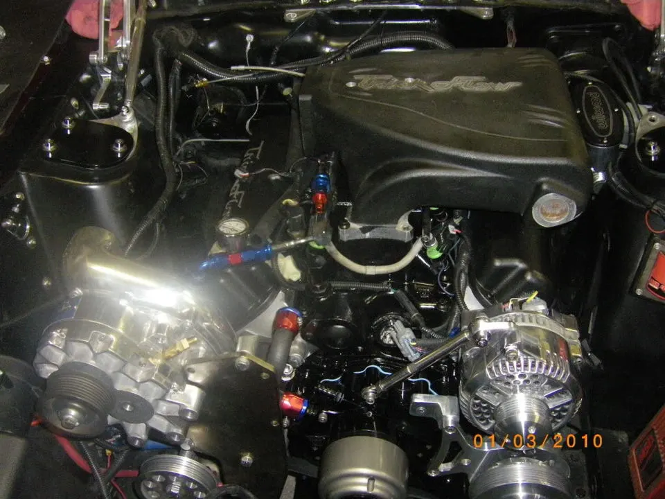 IMGP2390.webp