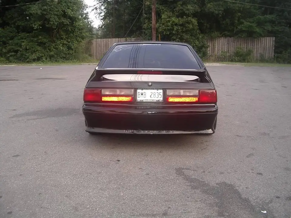 IMGP2481.webp