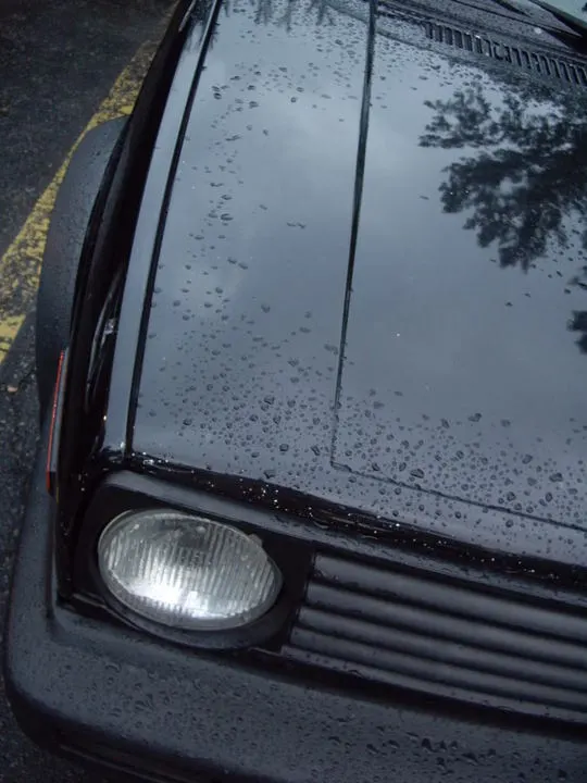 IMGP2903.webp