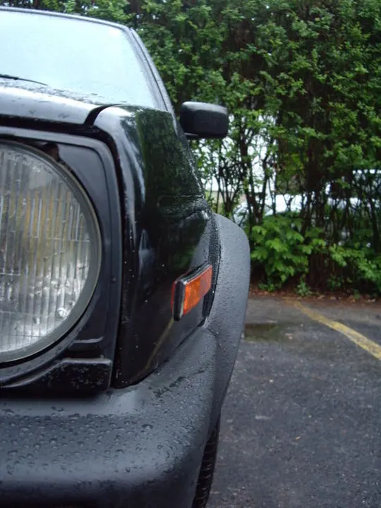 IMGP2904.webp