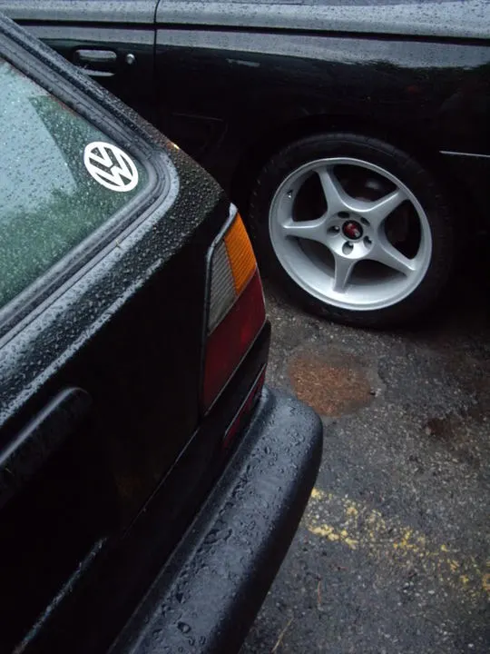 IMGP2906.webp