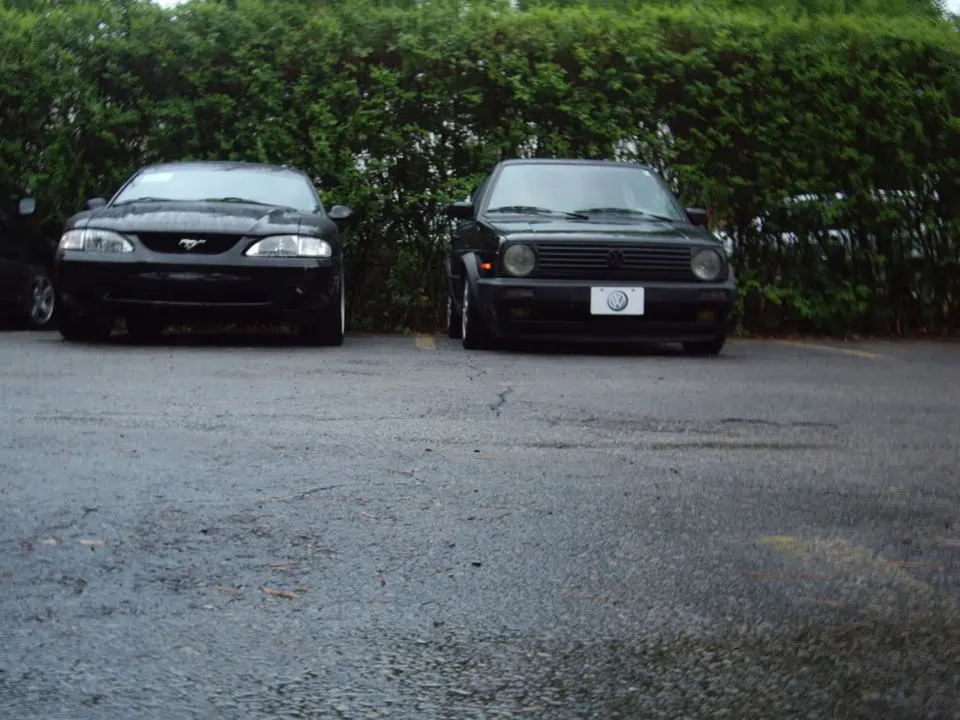 IMGP2908.webp