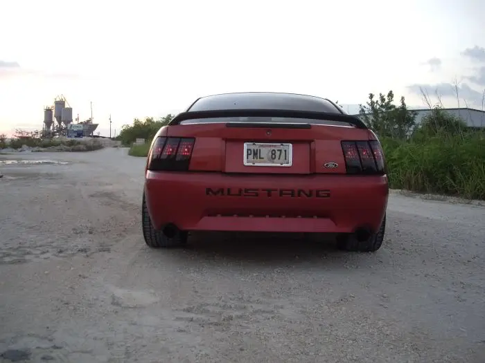 IMGP3093.webp