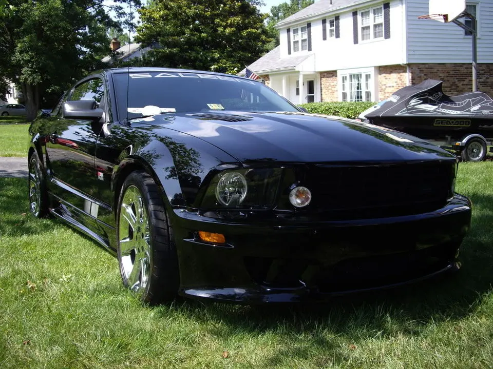 IMGP3291.webp
