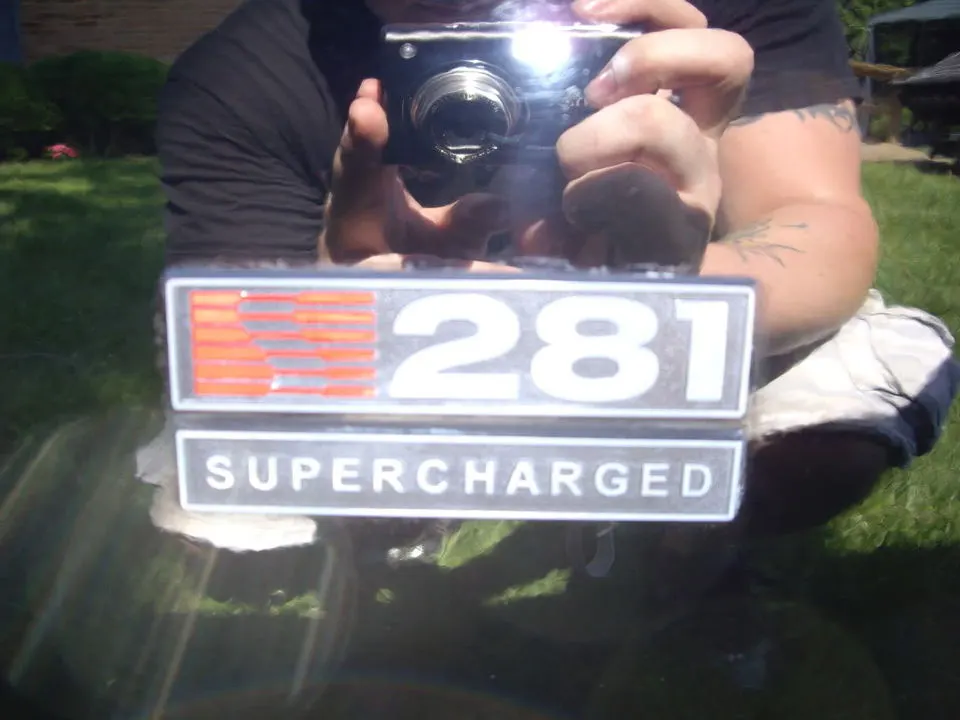IMGP3293.webp
