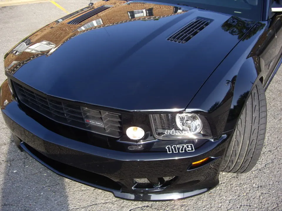 IMGP3296.webp