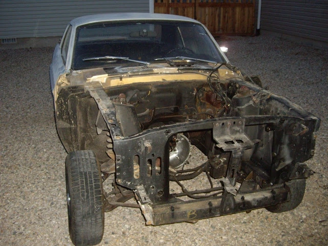 IMGP3595.webp