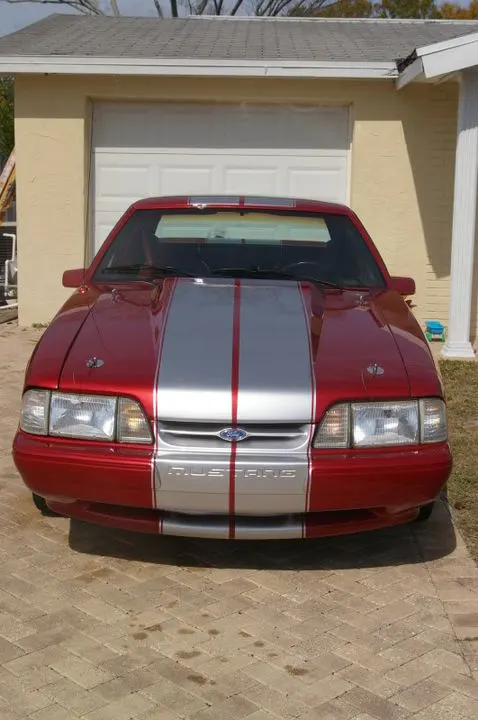 IMGP4316.webp