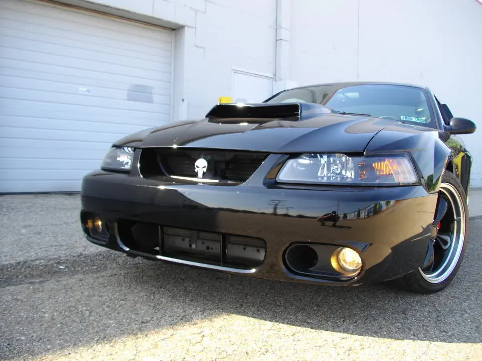 IMGP4801.webp