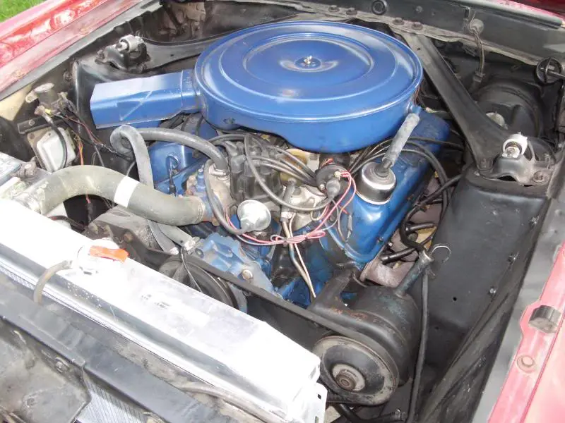 IMGP5805.webp