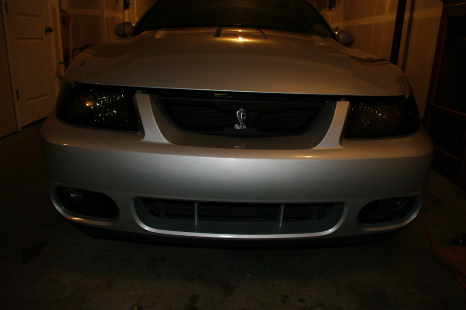 IMGP7135.webp