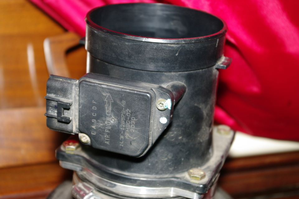 IMGP7150.webp