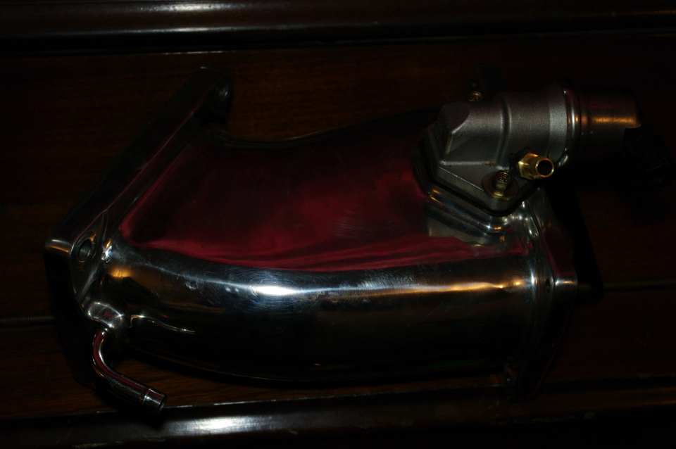 IMGP7151.webp