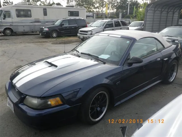 IMGP9255.webp