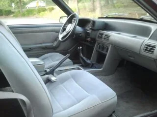 ImportedPhotos00005.webp