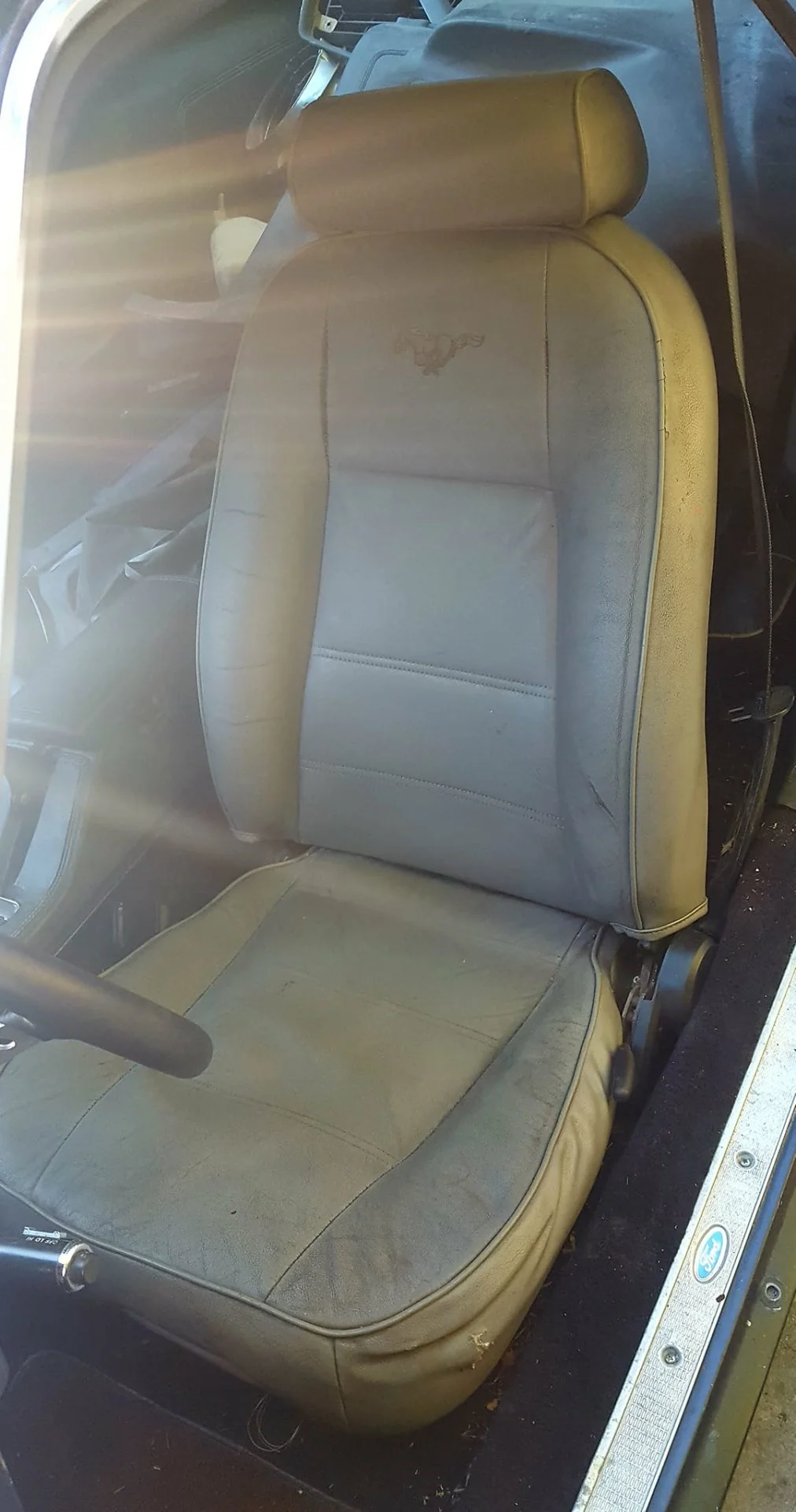 In the car 1.webp