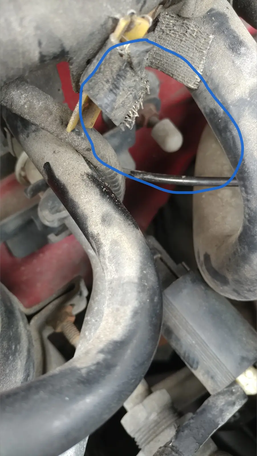 innerbolt.webp