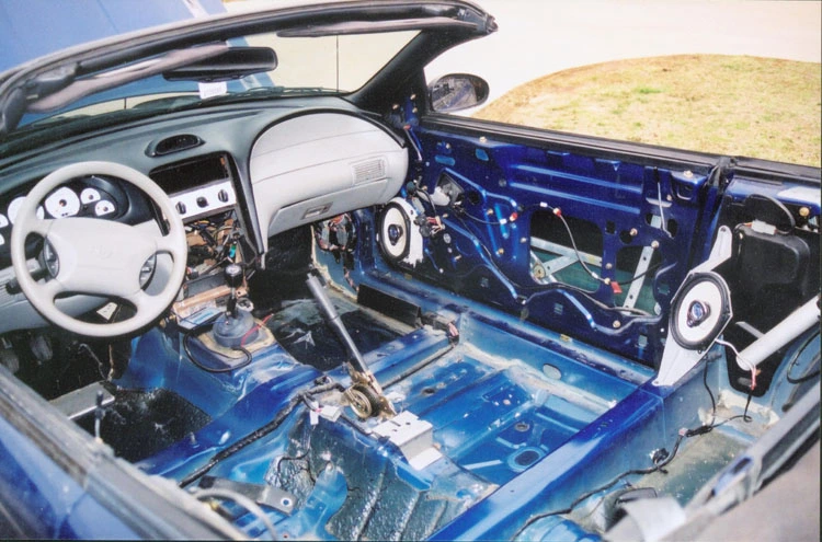 insides.webp