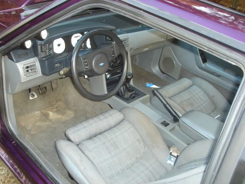 interior.webp