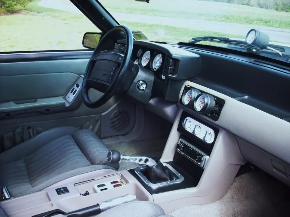 interior.webp