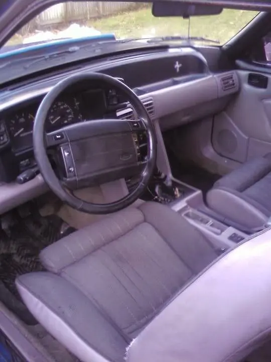 Interior.webp