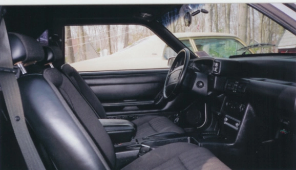 Interior.webp
