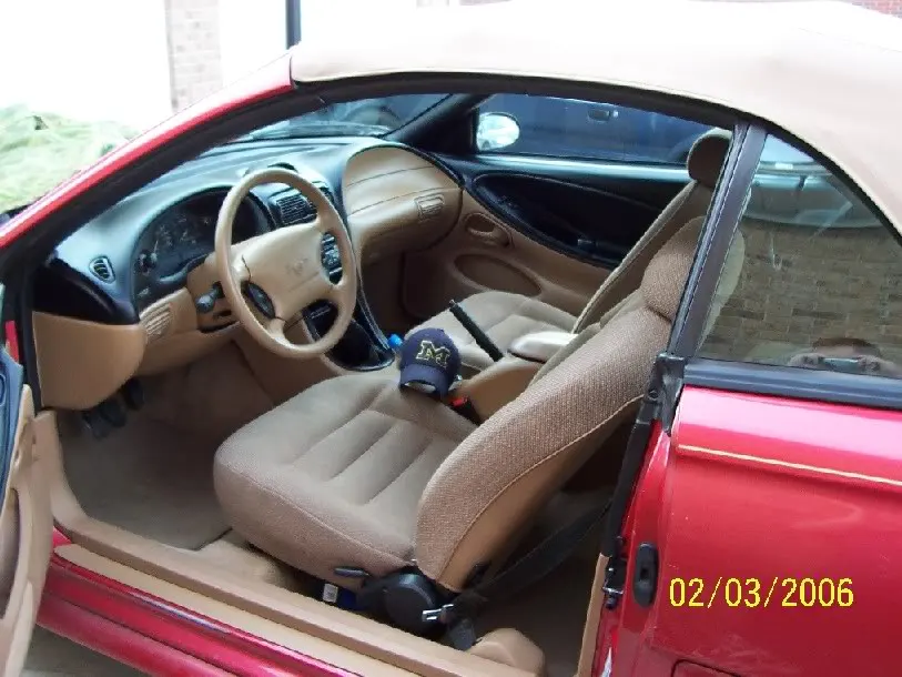 Interior.webp