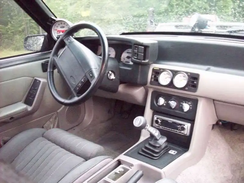 interior004.webp