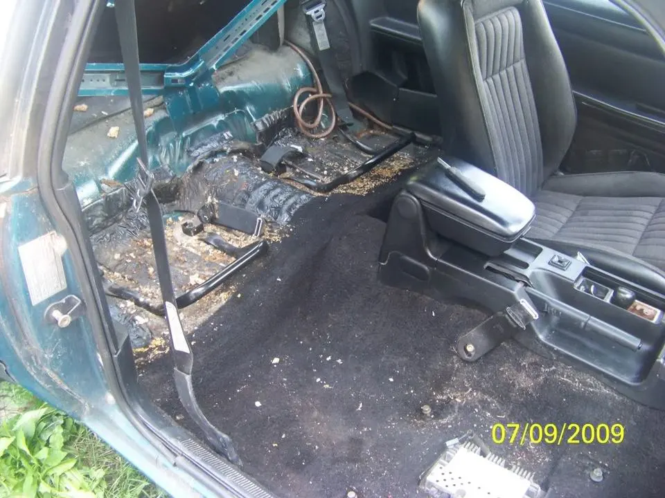 interior1.webp