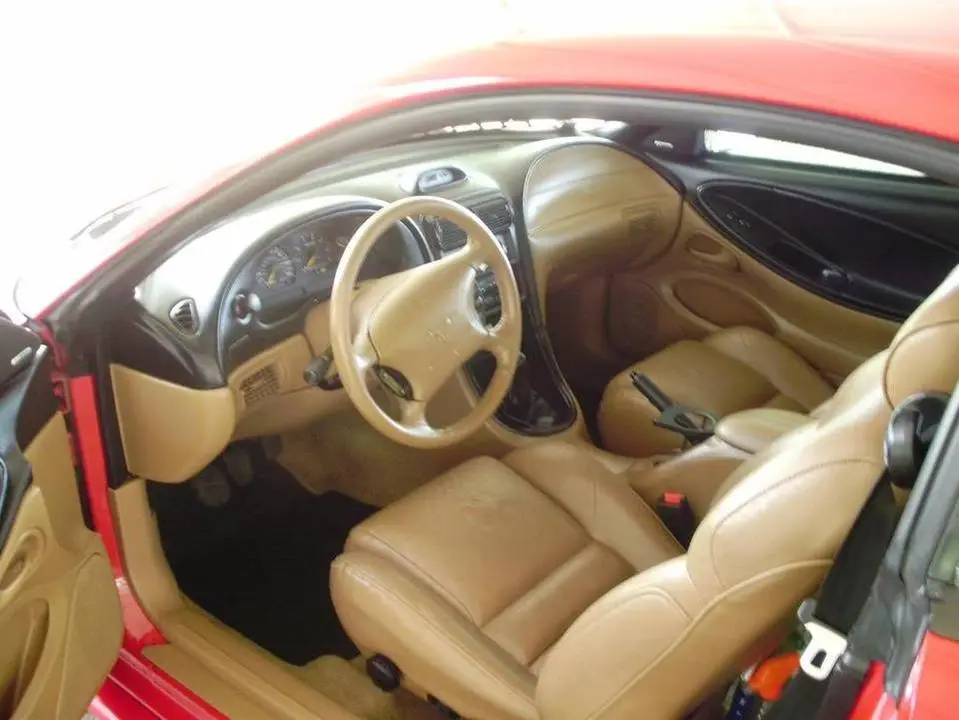 interior1.webp