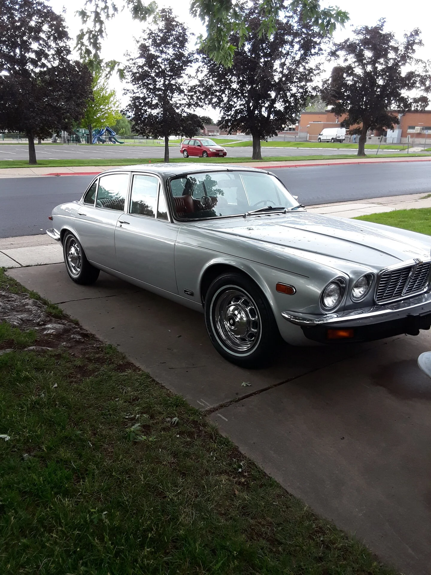 Jaguar.webp