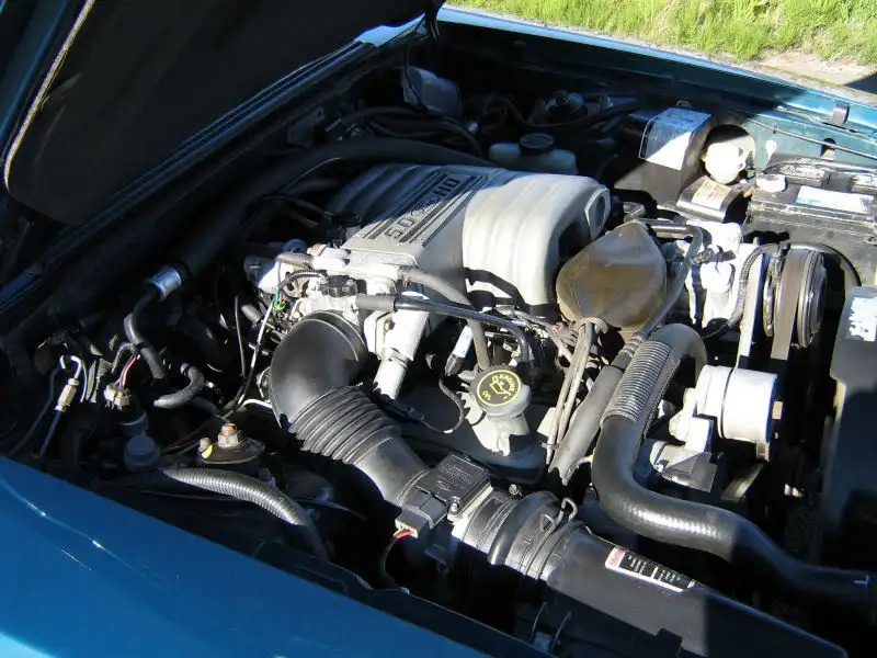 Jasons93Stang_4.webp